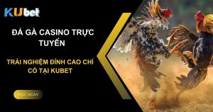 Đá gà casino trực tuyến: Trải nghiệm đỉnh cao chỉ có tại Kubet